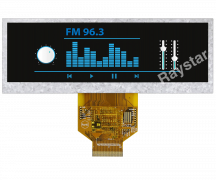 Raystar RFS520A-ALW-DNN в АВЕОН