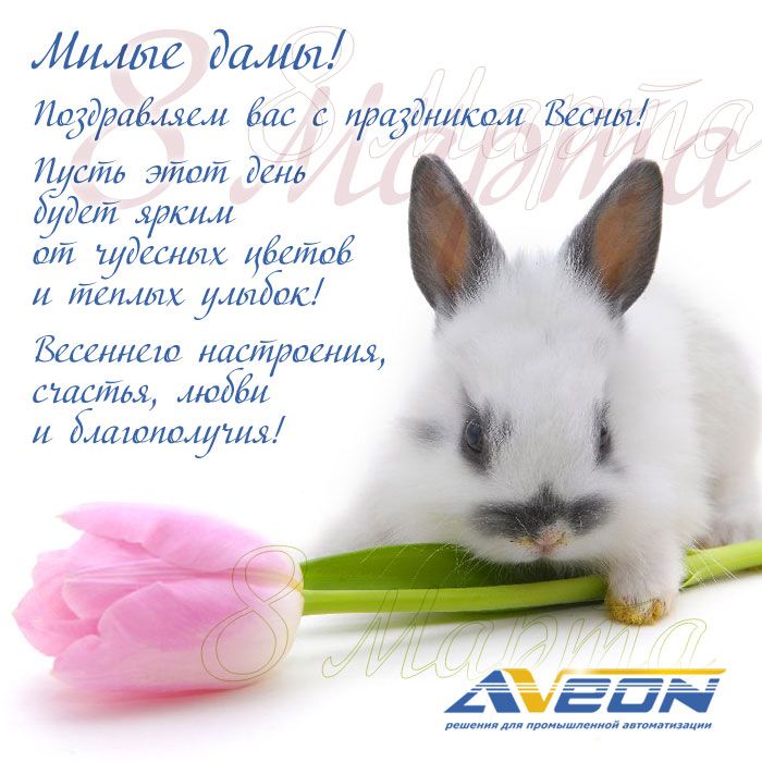 Поздравляем клиентов и контрагентов с 8 Марта!