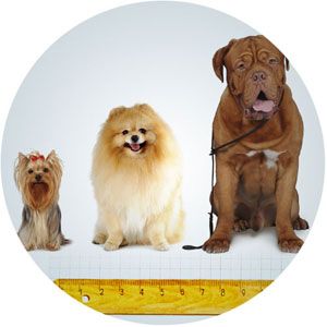 Сравнение товаров