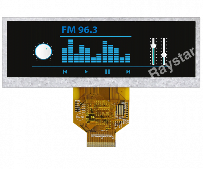 Raystar RFS520A-ALW-DNN в АВЕОН