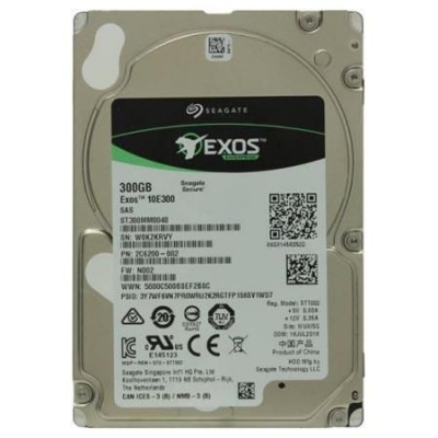 Ruggnet ST300MM0048 в АВЕОН