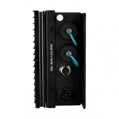 ICP DAS iKAN-124-IP65 в АВЕОН