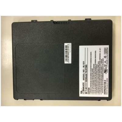 WinMate BL101 в АВЕОН